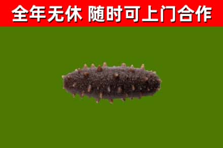 富裕烟酒回收干海参.jpg